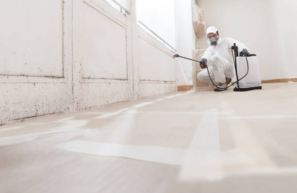 24/7 Emergency Mold Remediation experts in Fountain, CO