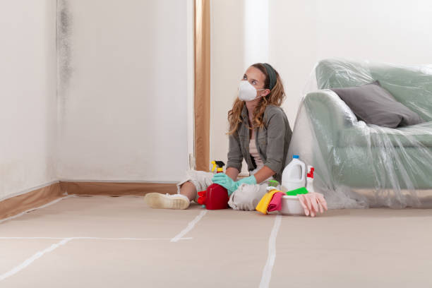 Reliable Mold Remediation contractor in Fountain, CO by WQB Mold Removal